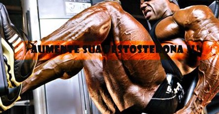 a formula dos musculos e1444167991730